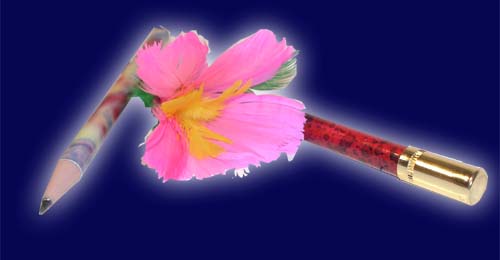 Blumenstift oder Bleistift zu Blüte